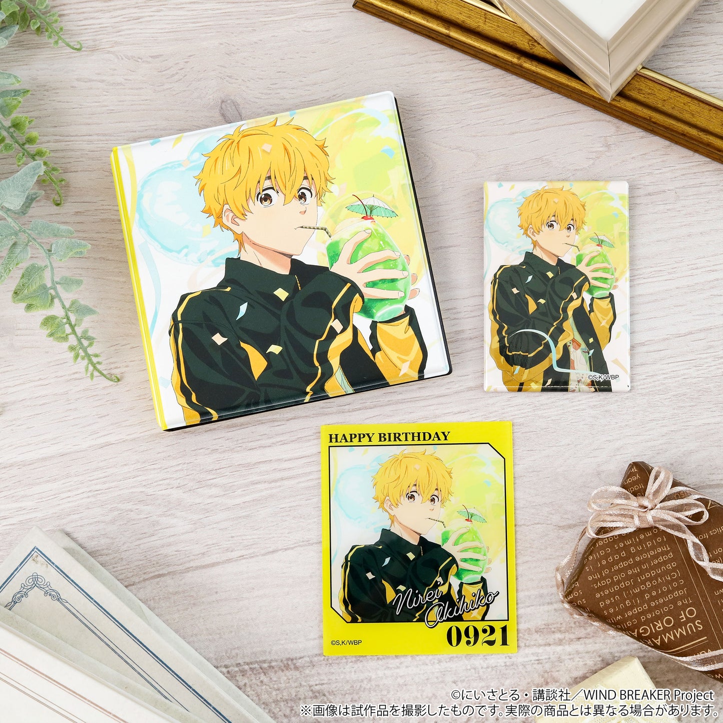 WIND BREAKER メモリアルブック型スタンド 楡井秋彦【予約商品】