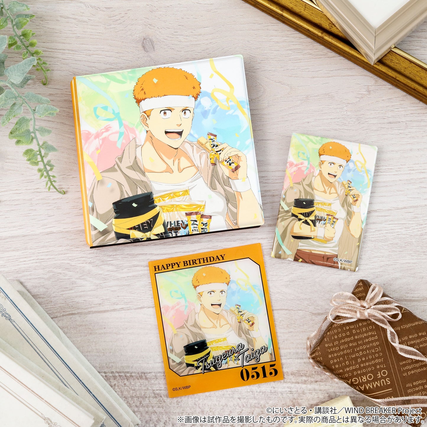 WIND BREAKER メモリアルブック型スタンド 柘浦大河【予約商品】