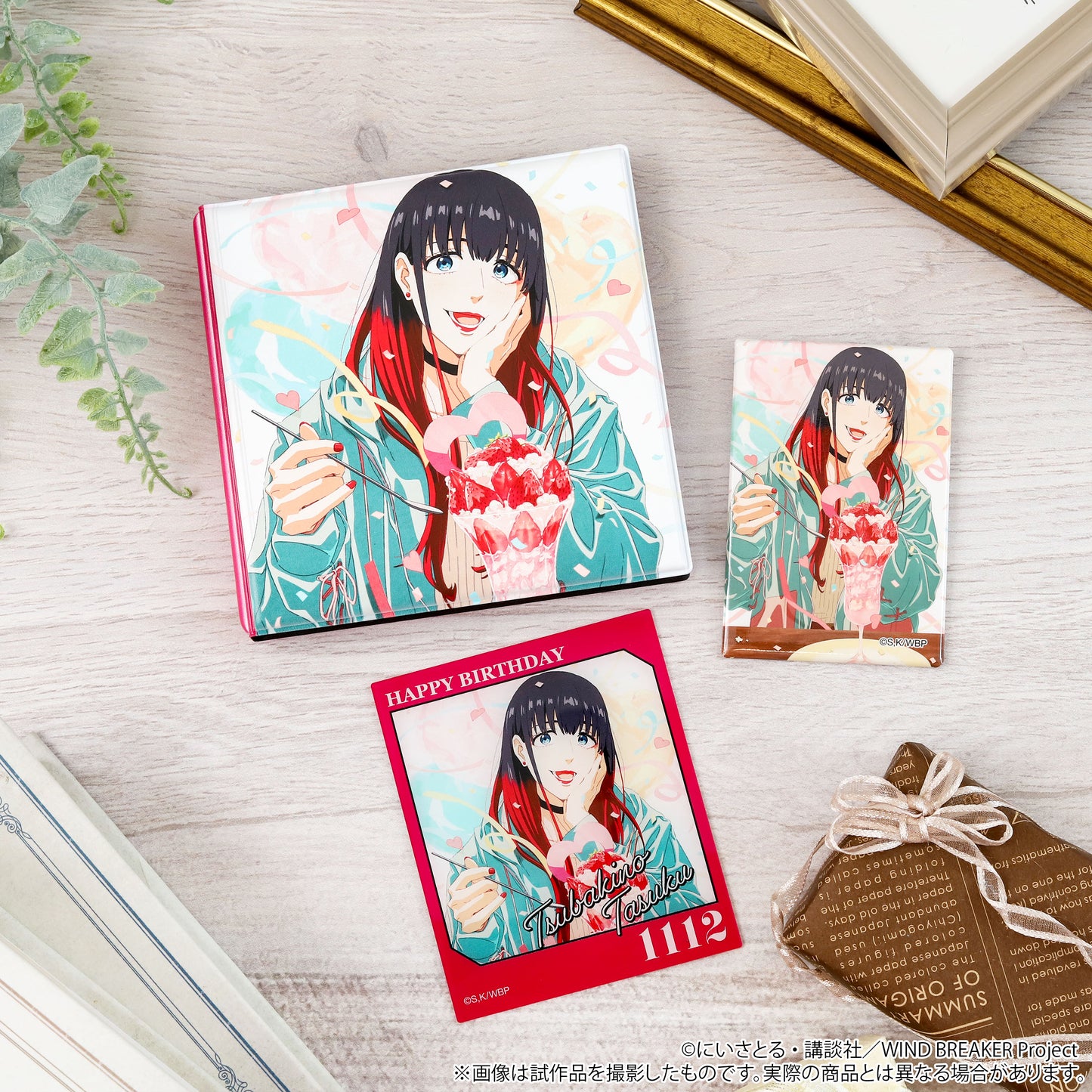 WIND BREAKER メモリアルブック型スタンド 椿野佑【予約商品】