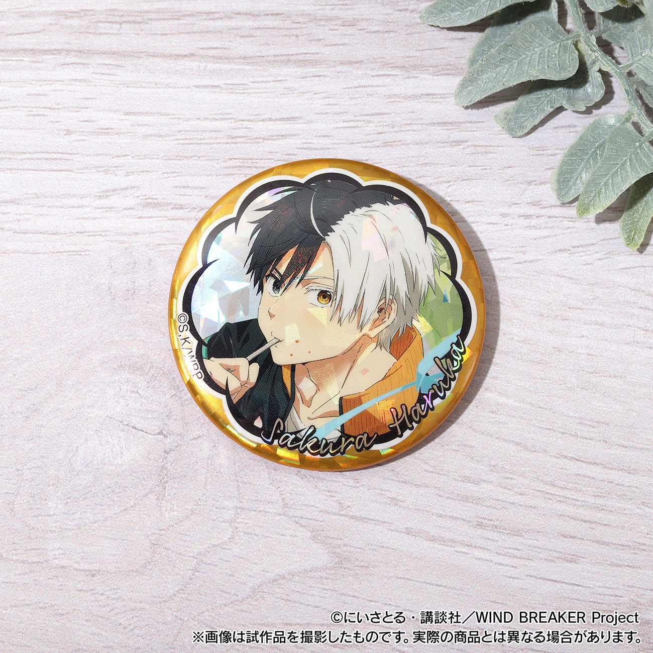 【Box/10】WIND BREAKER ホログラムキャラバッジコレクション【予約商品】