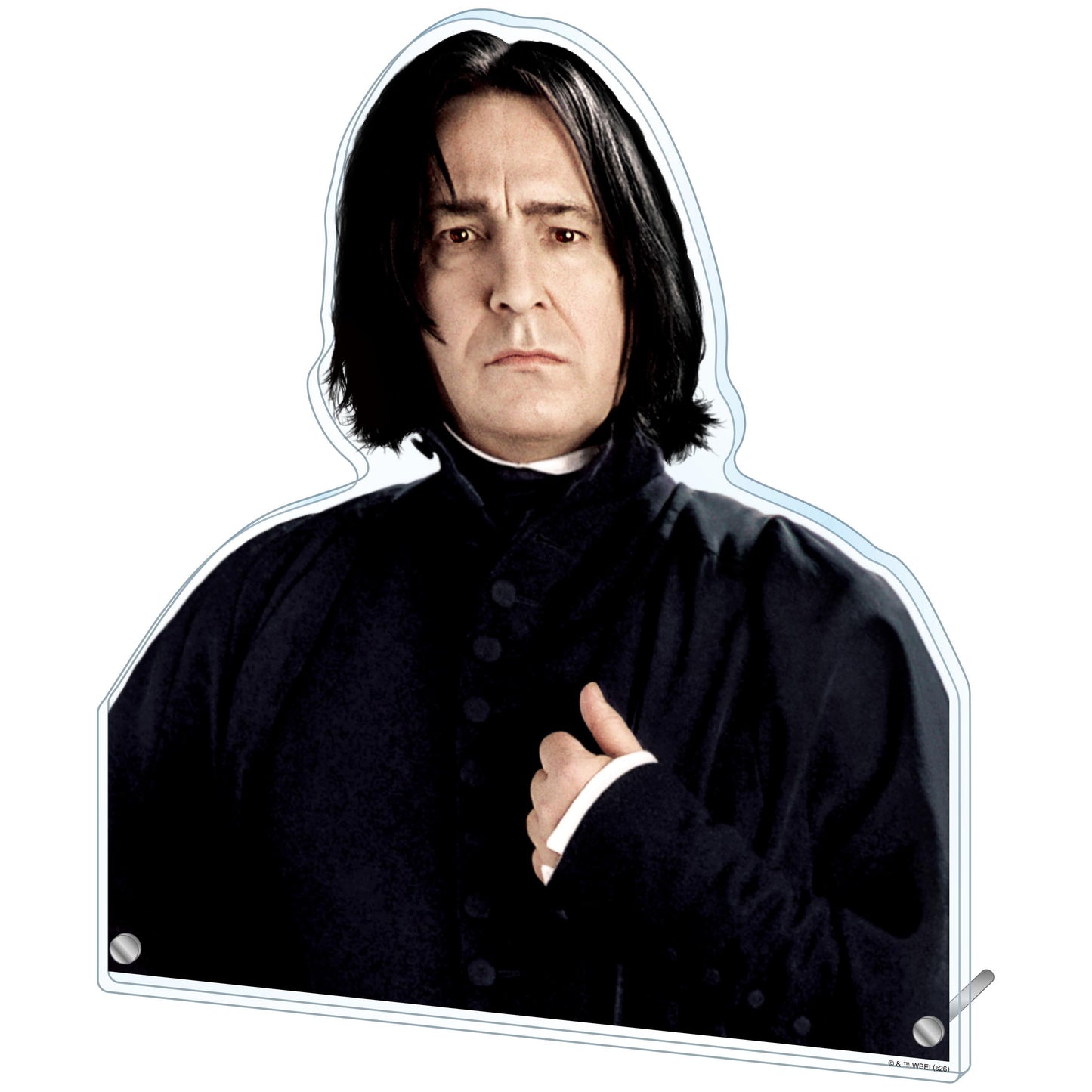 ハリー・ポッター 特大ダイカットアクリルパネル セブルス・スネイプ【予約商品】