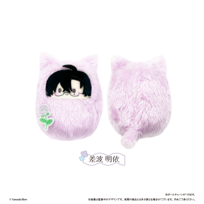 鯛代くん、君ってやつは。 くるみたぴぬい 差波明依【予約商品
