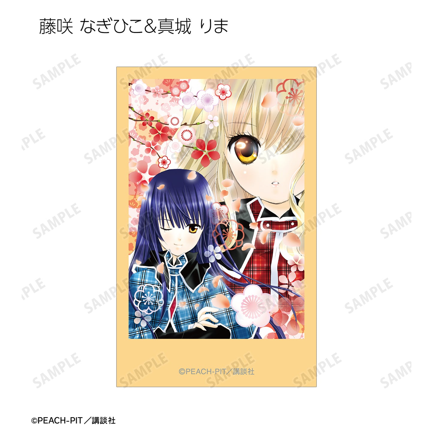 トレーディングインスタントカメラ風イラストカード【予約商品】