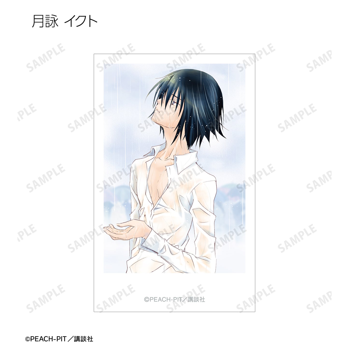 トレーディングインスタントカメラ風イラストカード【予約商品】
