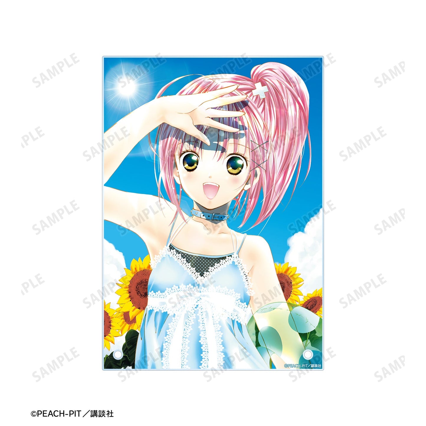 『しゅごキャラ!』日奈森あむ A5アクリルパネル ver.B