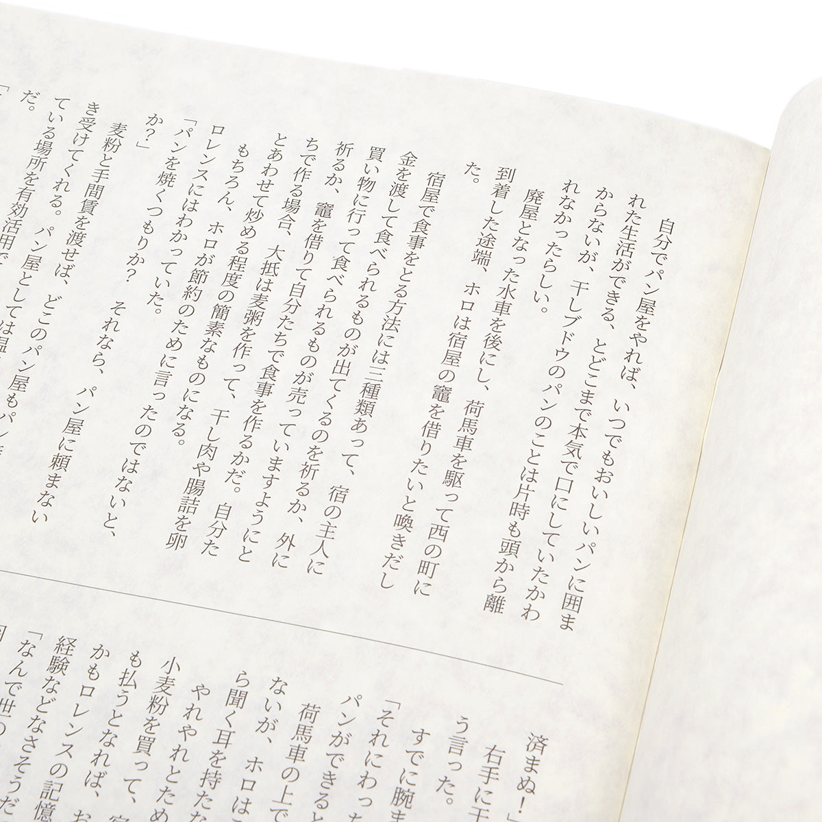 狼と香辛料VR ゲームパッケージ豪華版(書下ろし小説冊子入り)
