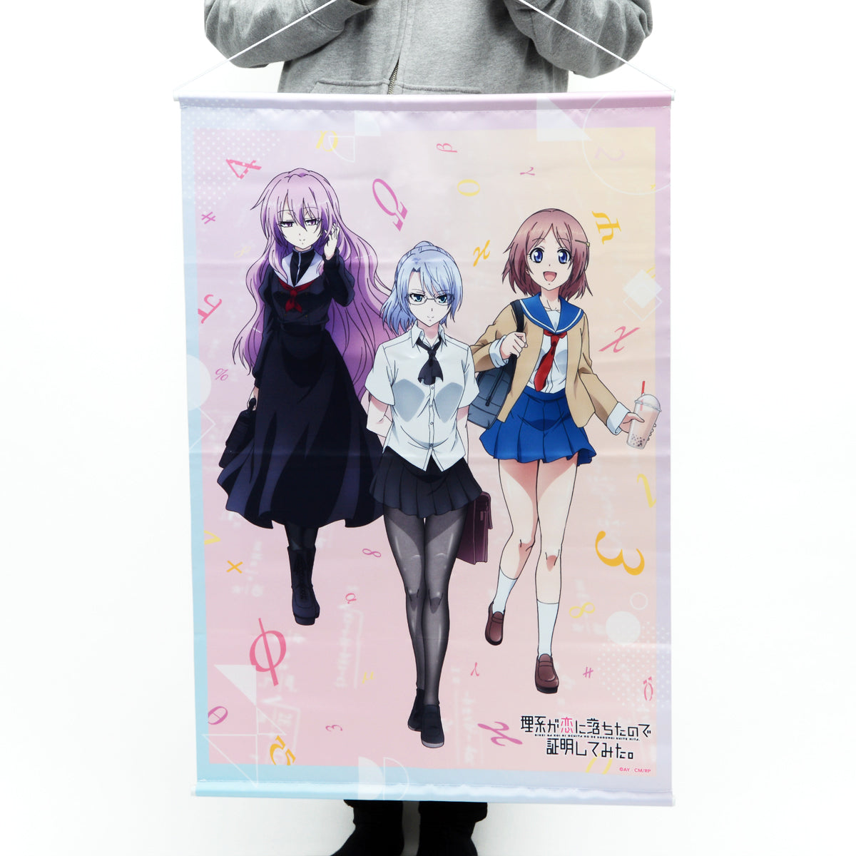 理系が恋に落ちたので証明してみた。 タペストリー