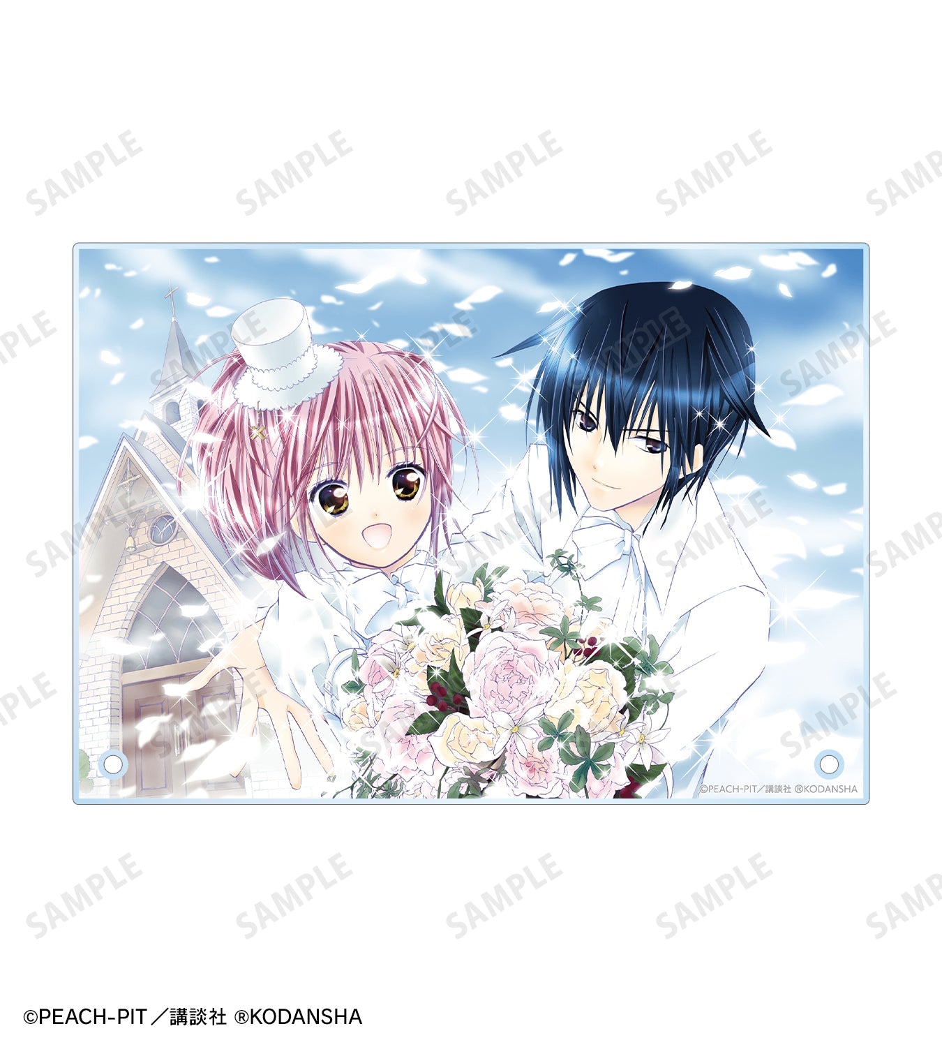 しゅごキャラ! A5アクリルパネル ver.B【予約商品】