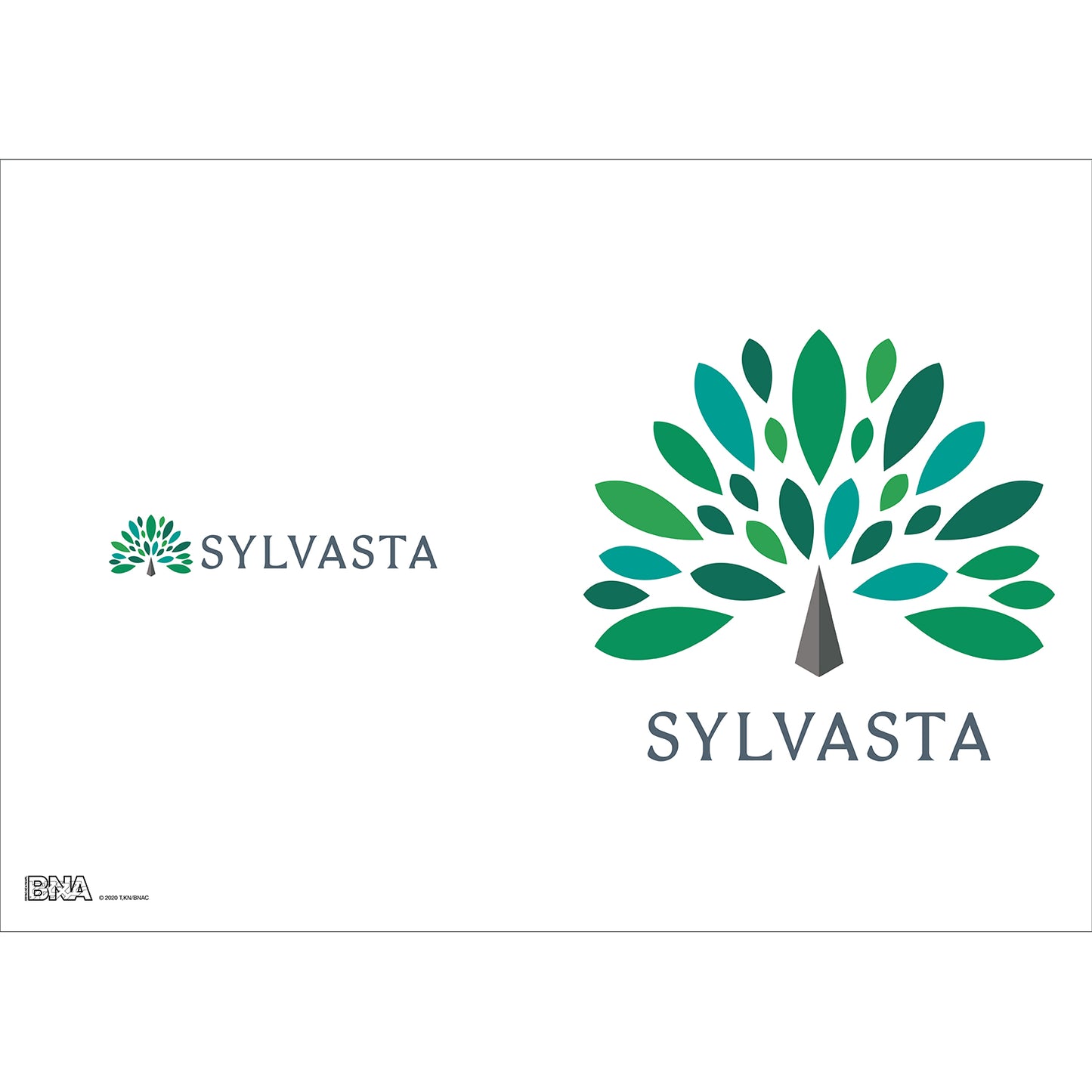 BNA クリアファイル SYLVASTA