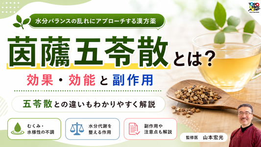 茵蔯五苓散とは？効果・効能と副作用｜五苓散との違いもわかりやすく解説