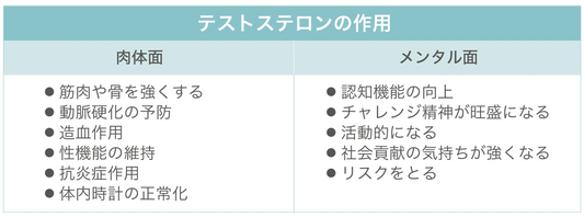 男性の性欲を高める方法！活力を取り戻すためにテストステロンの仕組みを知ろう