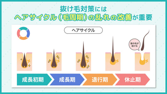 【男性向け】抜け毛対策のおすすめ9選！今日からできる予防や治療を徹底解説