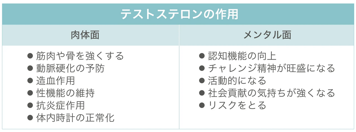 男性の性欲を高める方法！活力を取り戻すためにテストステロンの仕組みを知ろう