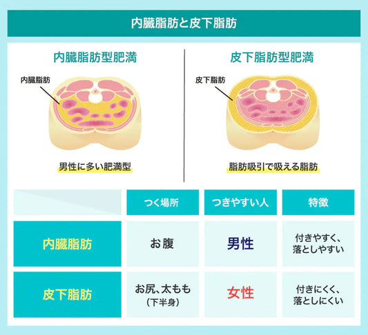 短期間で痩せる方法と絶対にやってはいけないダイエット法を紹介