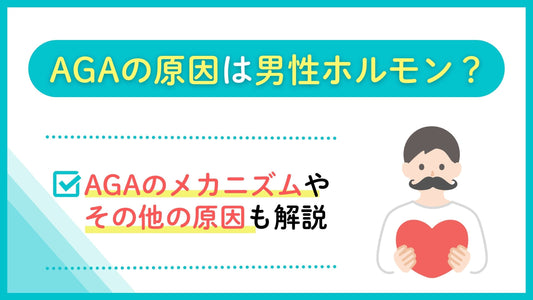 AGAの原因は男性ホルモン？