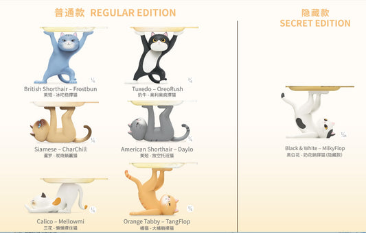 【Box/6】CHOCO TEDDY あの猫が支えてくれるGEN2シリーズ トレーディングフィギュア【予約商品】
