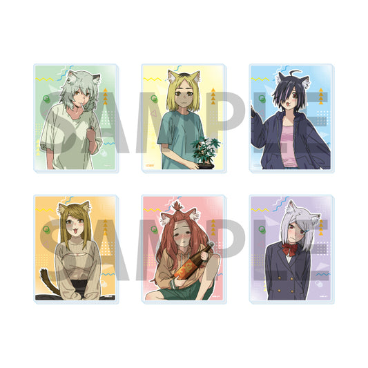 【Box/6】アクリルカード ヤニねこ 01 公式イラスト【予約商品】