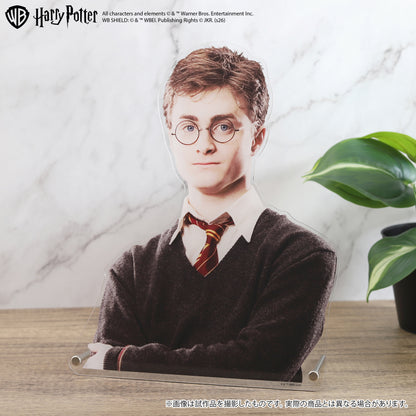 ハリー・ポッター 特大ダイカットアクリルパネル ハリー・ポッター【予約商品】