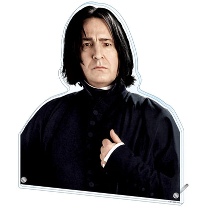 ハリー・ポッター 特大ダイカットアクリルパネル セブルス・スネイプ【予約商品】