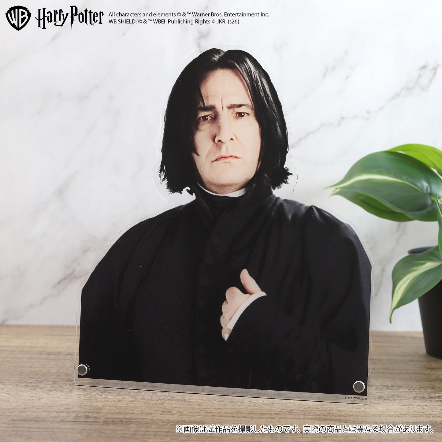 ハリー・ポッター 特大ダイカットアクリルパネル セブルス・スネイプ【予約商品】
