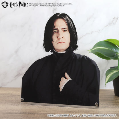 ハリー・ポッター 特大ダイカットアクリルパネル セブルス・スネイプ【予約商品】