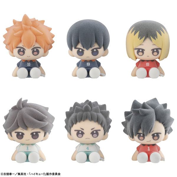 【Box/6】ぬいっぽ ハイキュー!!【予約商品】