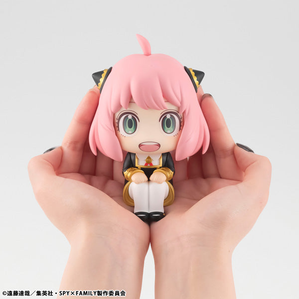るかっぷ SPY×FAMILY アーニャ・フォージャー【再販】【予約商品