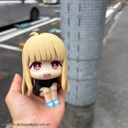 るかっぷ 超かぐや姫! かぐや【予約商品】