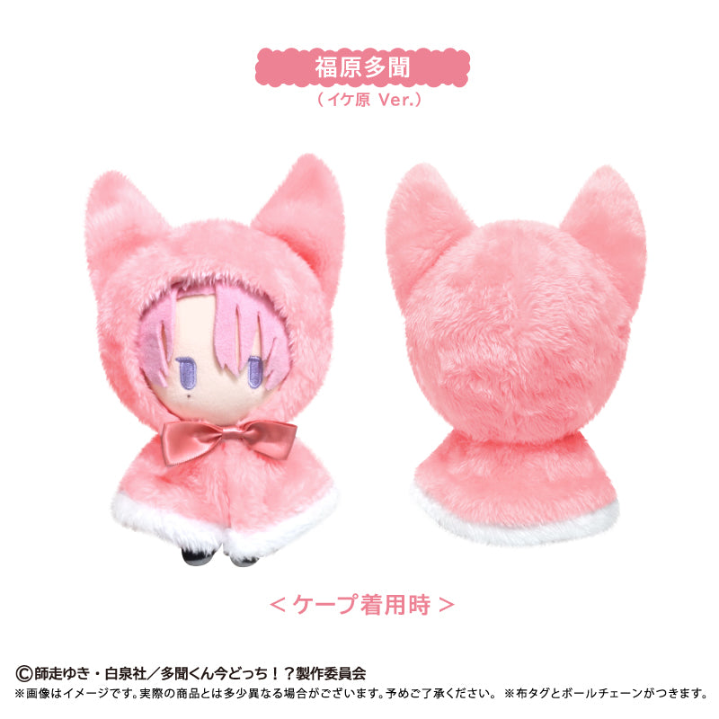 多聞くん今どっち!? ケープたぴぬい 福原多聞(イケ原Ver.)【予約商品】
