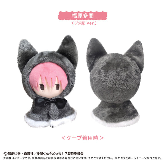 多聞くん今どっち!? ケープたぴぬい 福原多聞(ジメ原Ver.)【予約商品】