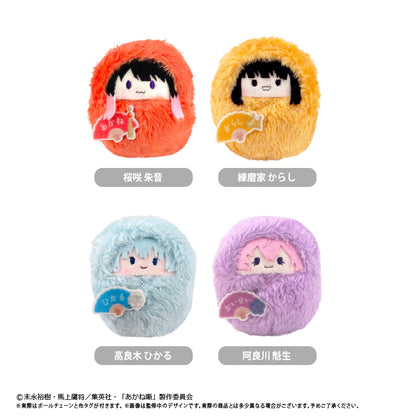 【Box/4】あかね噺 くるみたぴぬい Vol.1【予約商品】