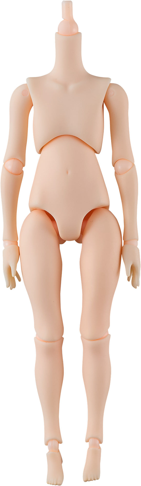 Harmonia bloom blooming doll root (Body-Boyhood)【予約商品】