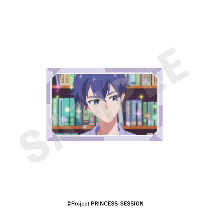 【Box/10】プリンセッション・オーケストラ -favorite series- トレーディングフォト風ブロマイド【予約商品】