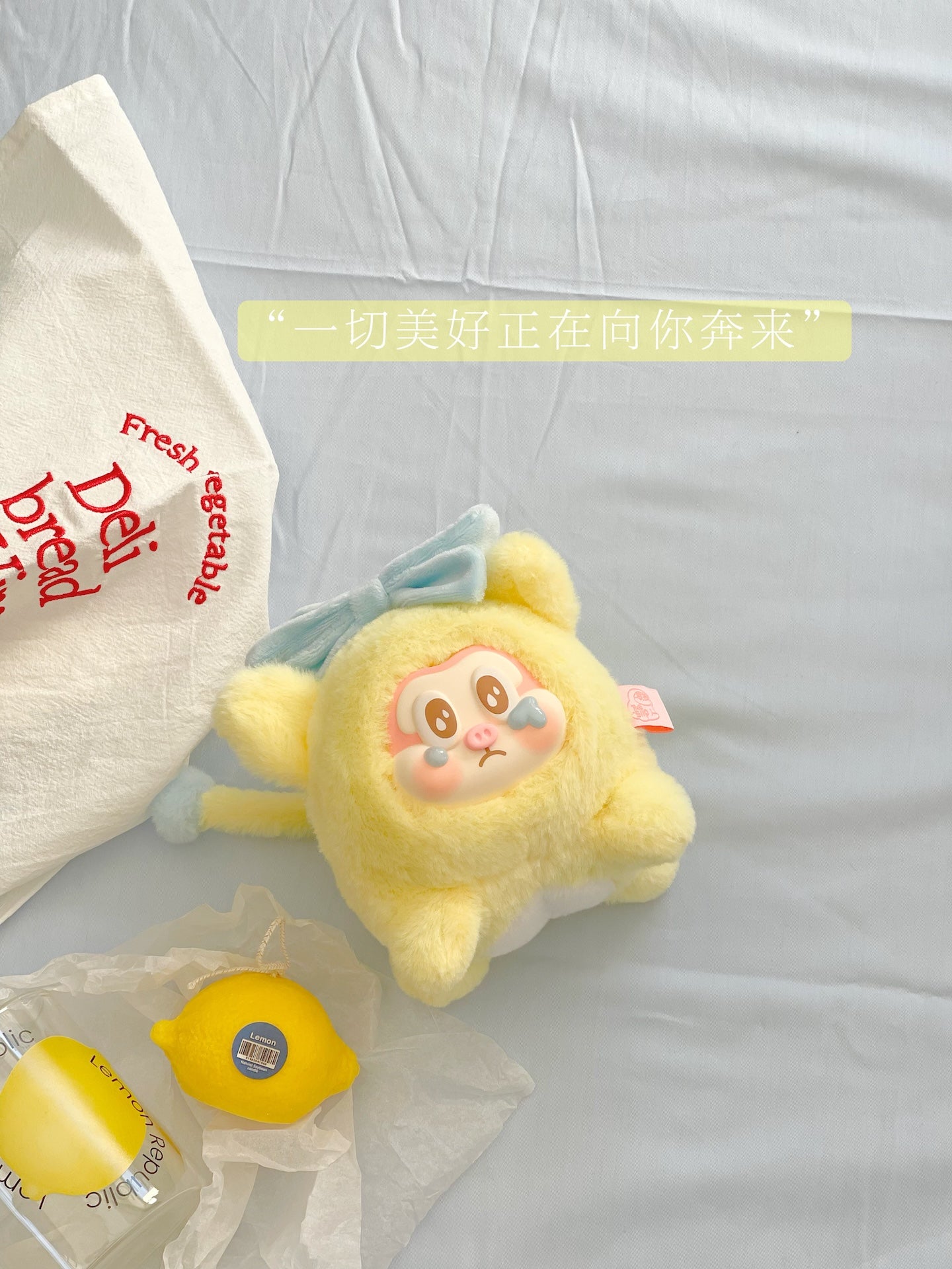 【Box/6】004_THE SLLO 空飛ぶこぶた ぬいぐるみブラインドボックス【予約商品】