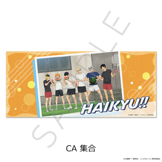 ハイキュー!! 第13弾 フェイスタオル CA 集合【予約商品】