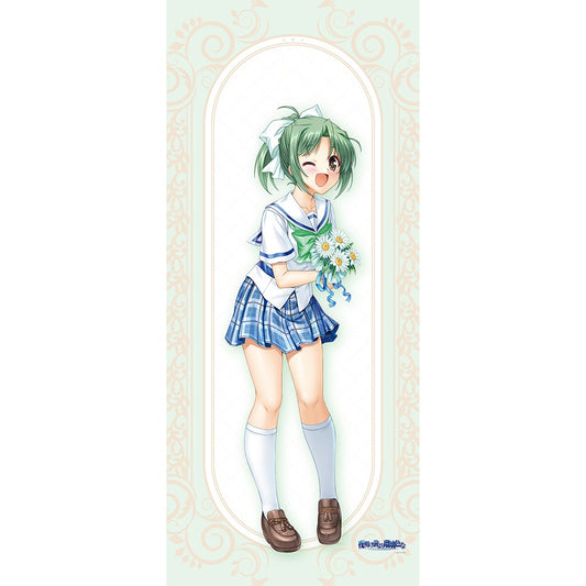 夜明け前より瑠璃色な 特大タペストリー 遠山翠/20周年【予約商品】
