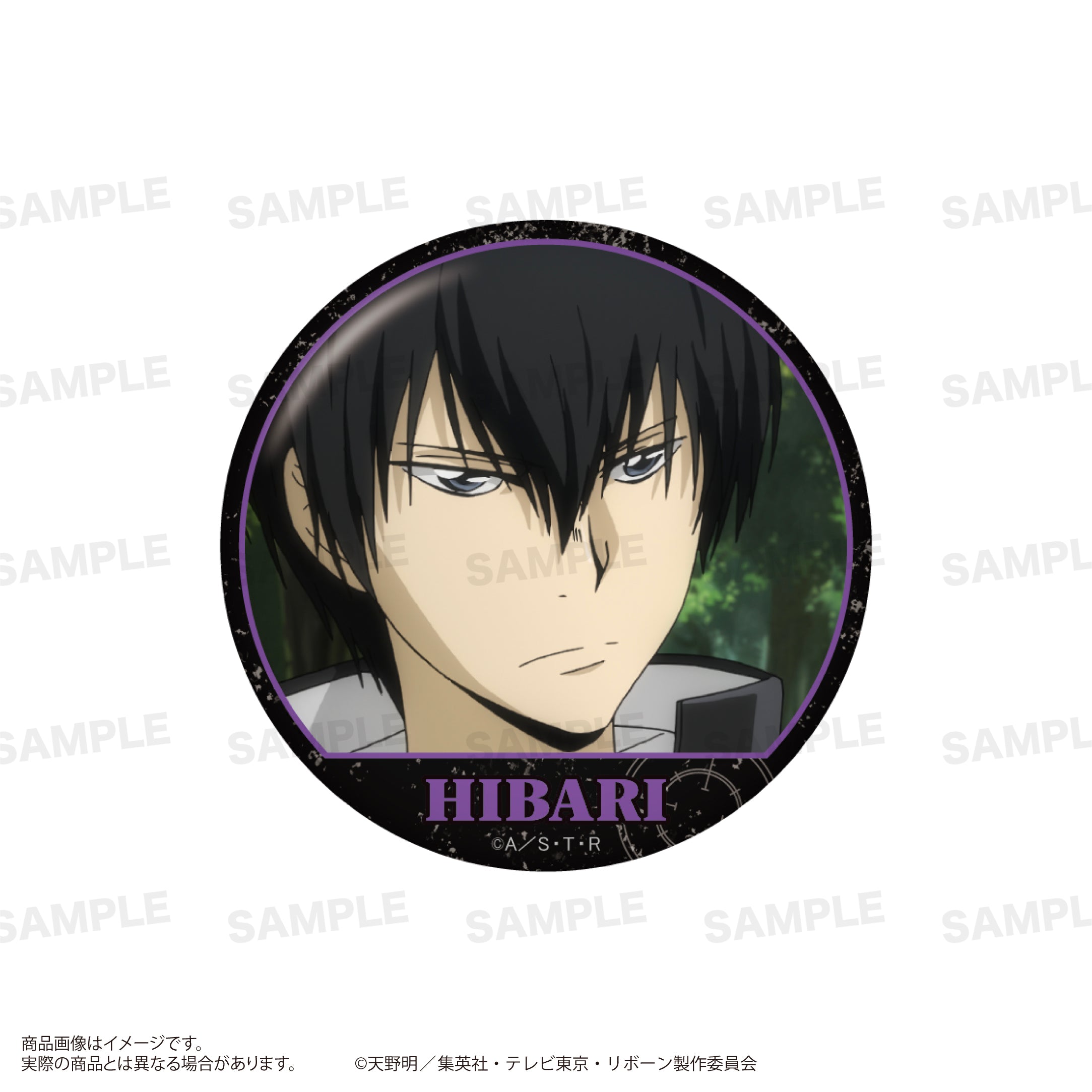 Box/10】家庭教師ヒットマンREBORN! トレーディング場面写缶バッジ