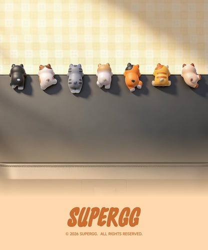 【Box/6】PICOCO くっつき シリーズ トレーディングフィギュア【予約商品】