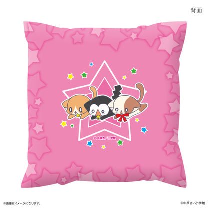 きらりん☆レボリューション ましかくクッション【予約商品】