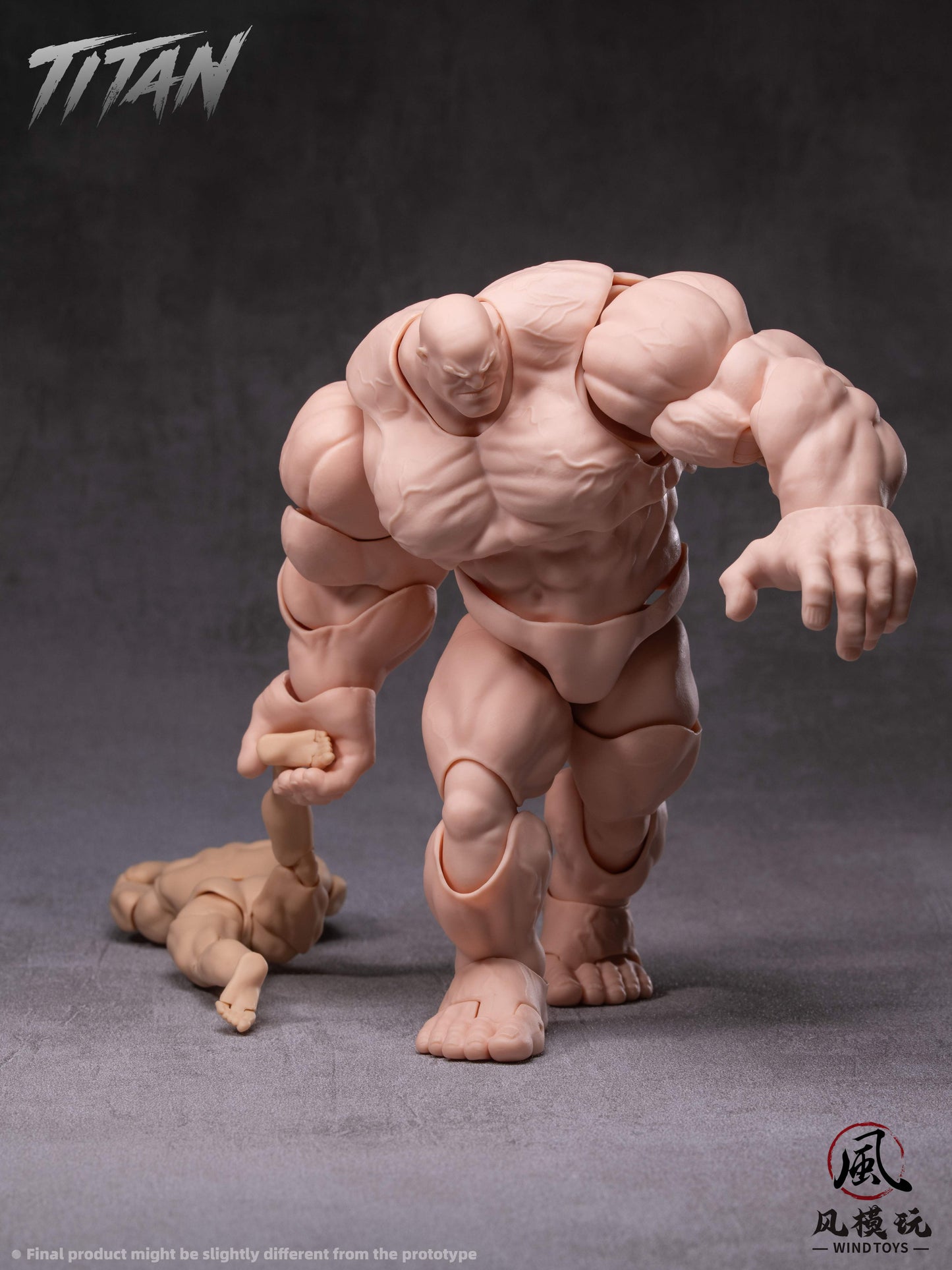 WIND TOYS 1/12スケール 可動フィギュア素体 タイタン FMW009 ノーマル【予約商品】