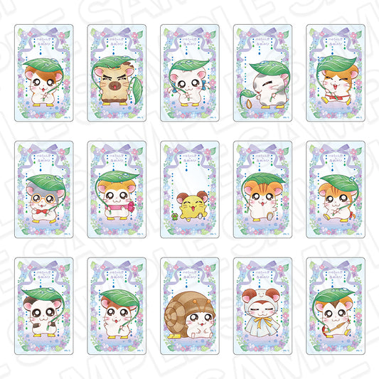 【Box/15】とっとこハム太郎 クリアカード あめの日Ver.【予約商品】