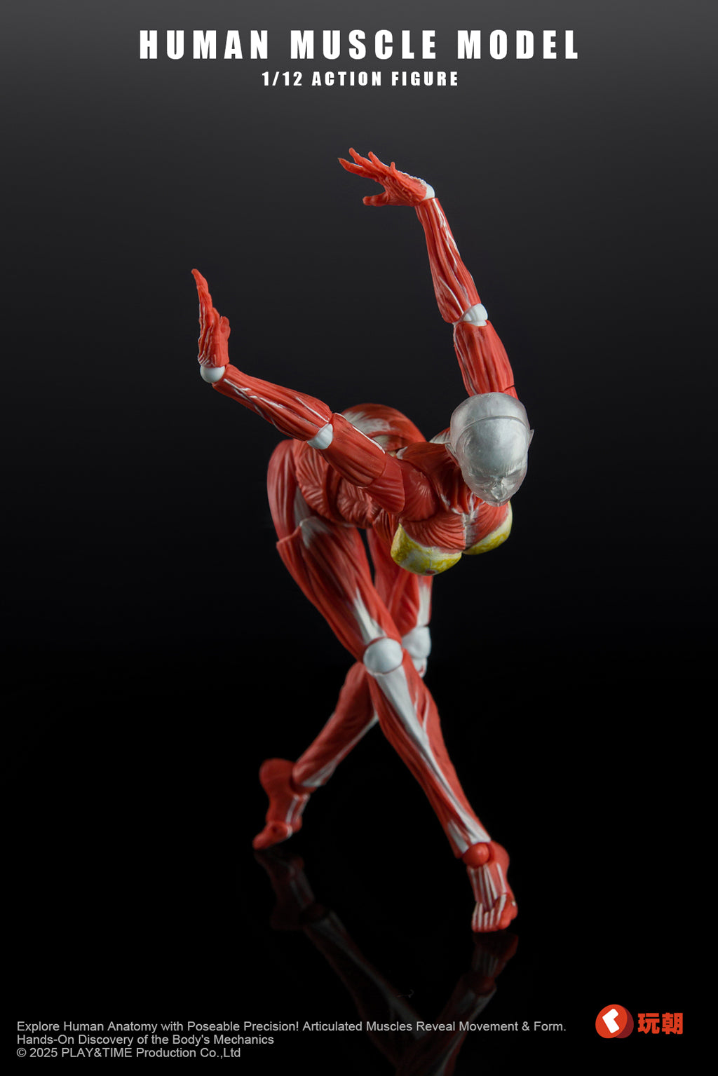 KEEPGOING Studio 人体筋肉模型 女性Ver. 1/12スケール可動フィギュア レッド【予約商品】