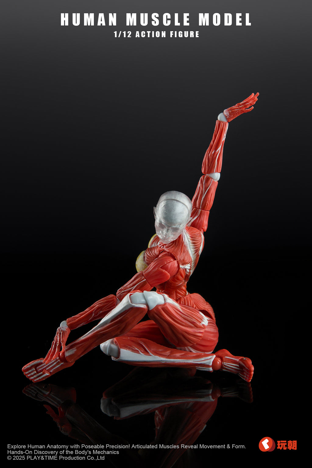 KEEPGOING Studio 人体筋肉模型 女性Ver. 1/12スケール可動フィギュア レッド【予約商品】
