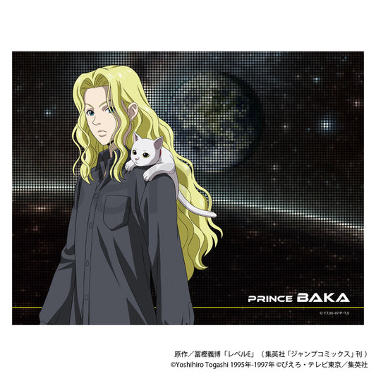 レベルE ミニキャンバス 王子【予約商品】