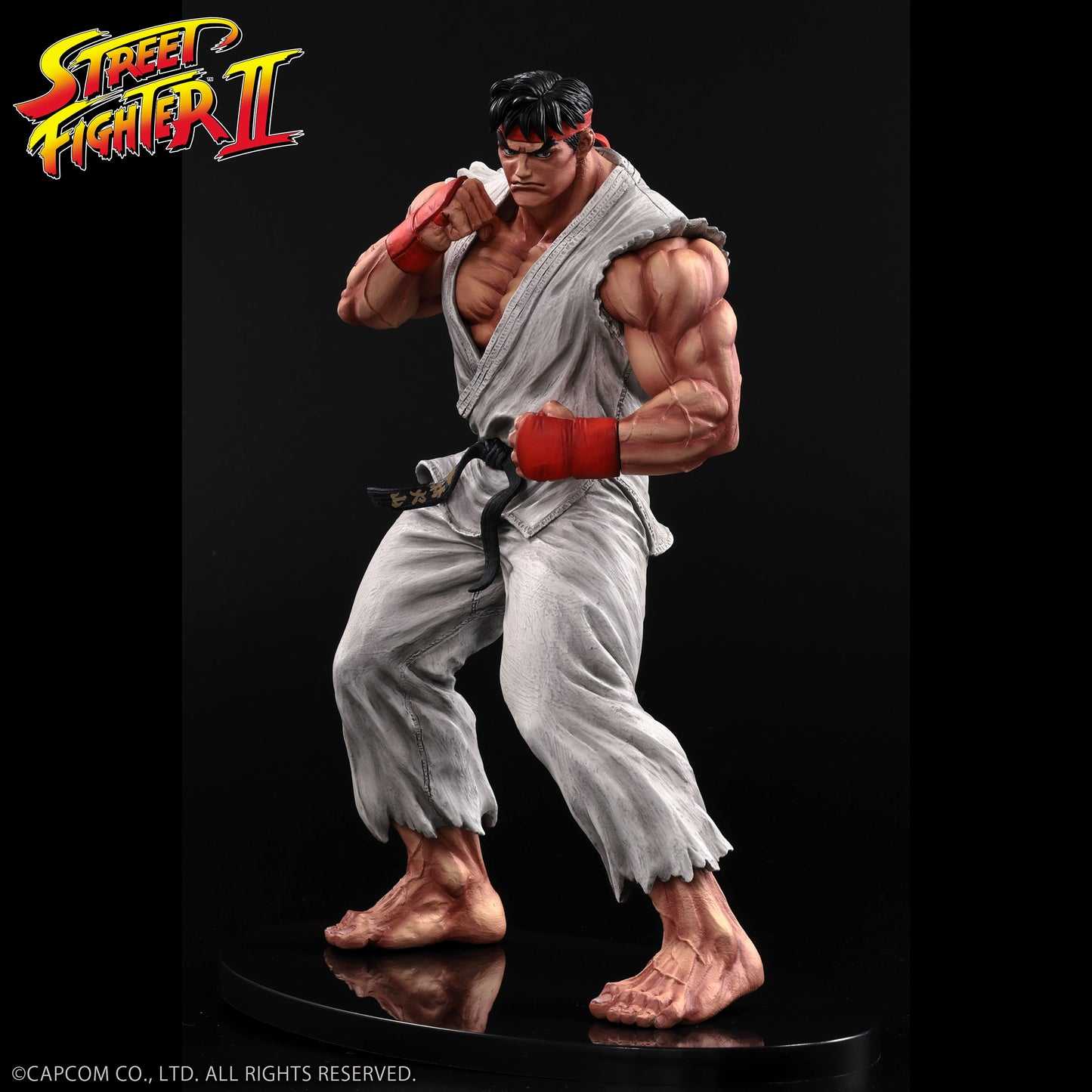 THE KING OF COLLECTORS'24 No.9 リュウ(通常カラー)【予約商品】