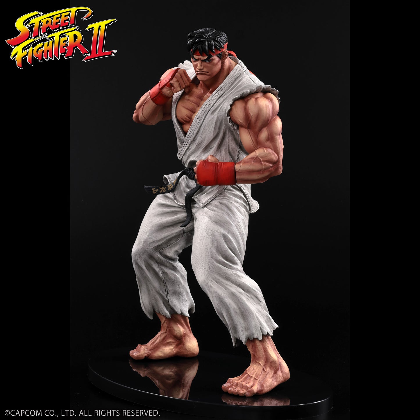 THE KING OF COLLECTORS'24 No.9 リュウ(通常カラー)【予約商品】