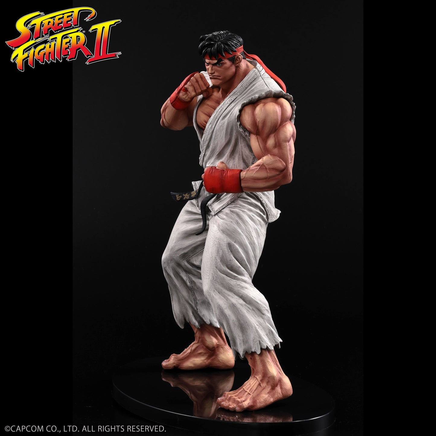 THE KING OF COLLECTORS'24 No.9 リュウ(通常カラー)【予約商品】