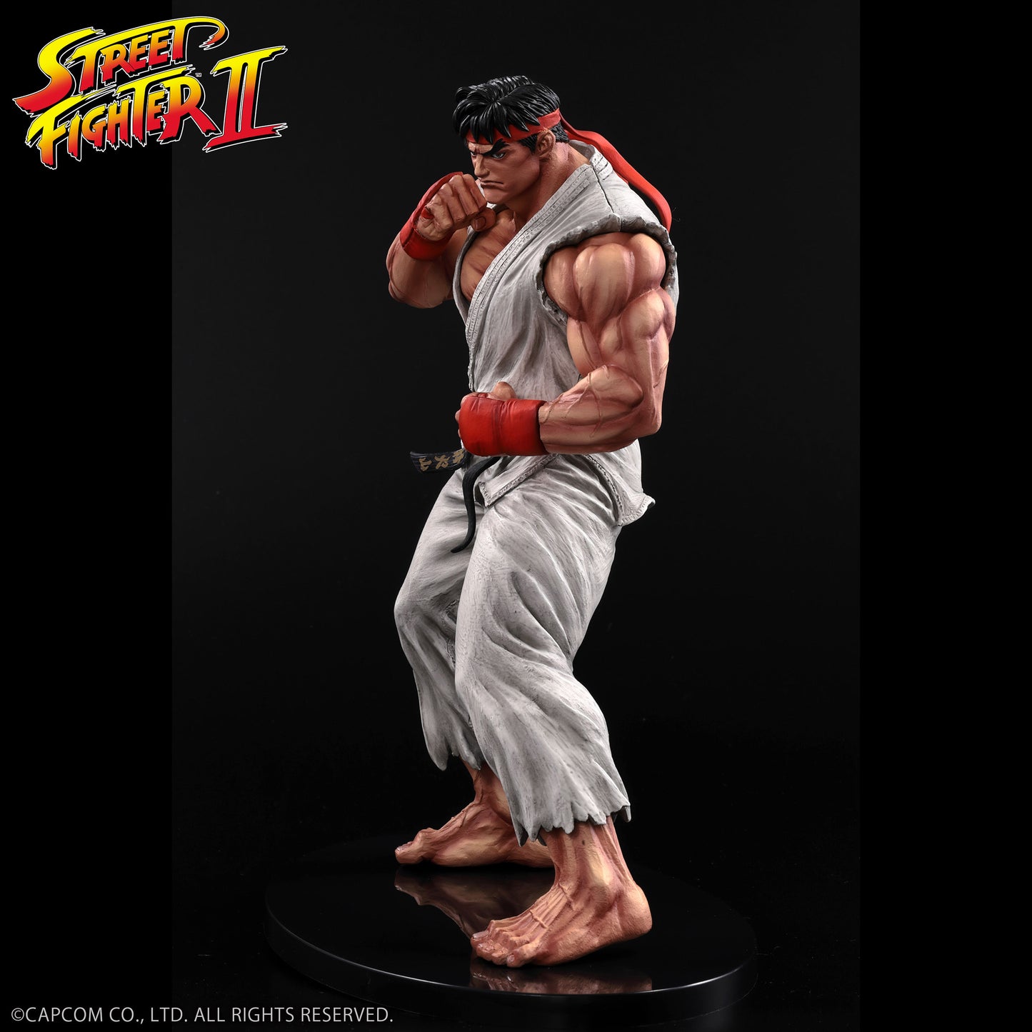 THE KING OF COLLECTORS'24 No.9 リュウ(通常カラー)【予約商品】