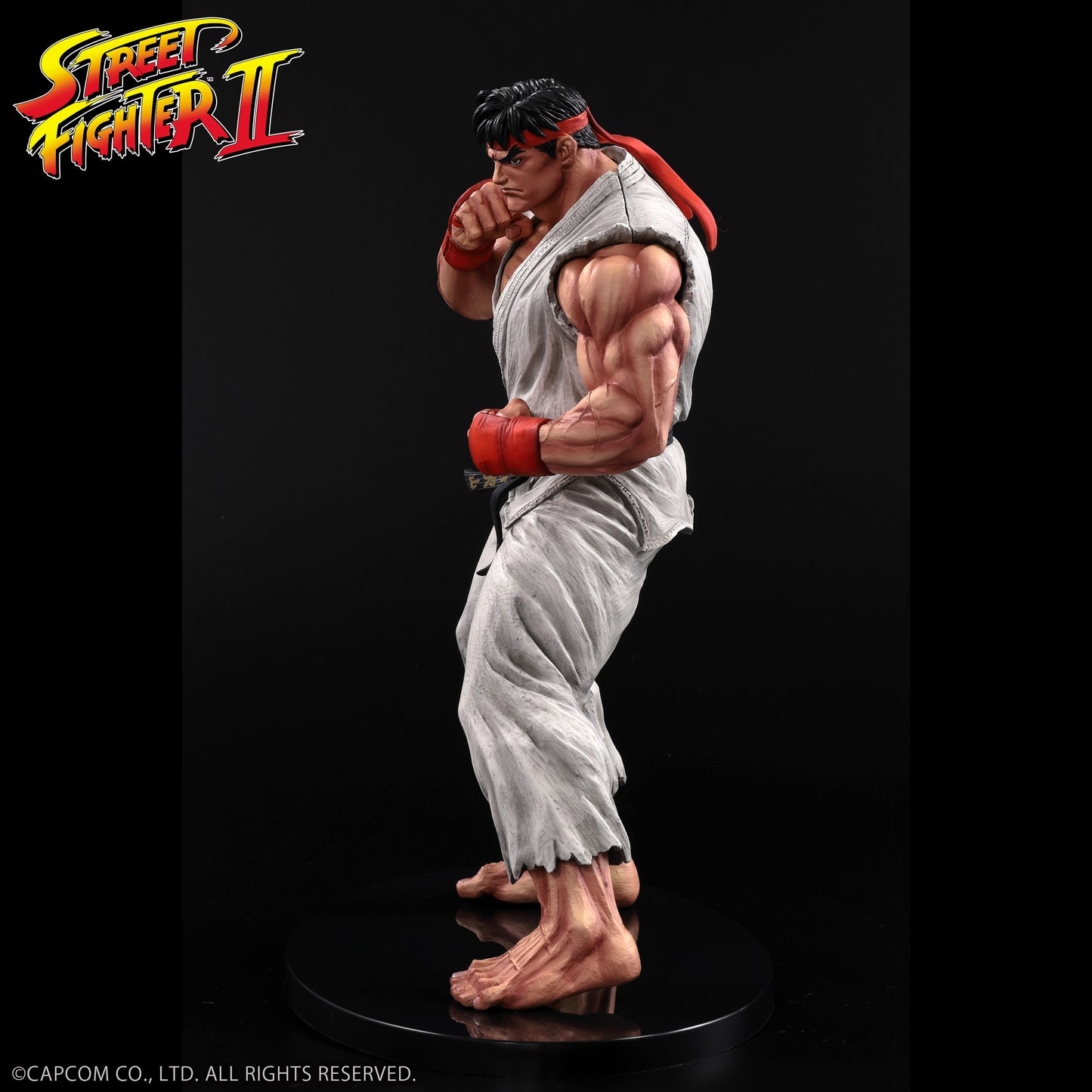 THE KING OF COLLECTORS'24 No.9 リュウ(通常カラー)【予約商品】