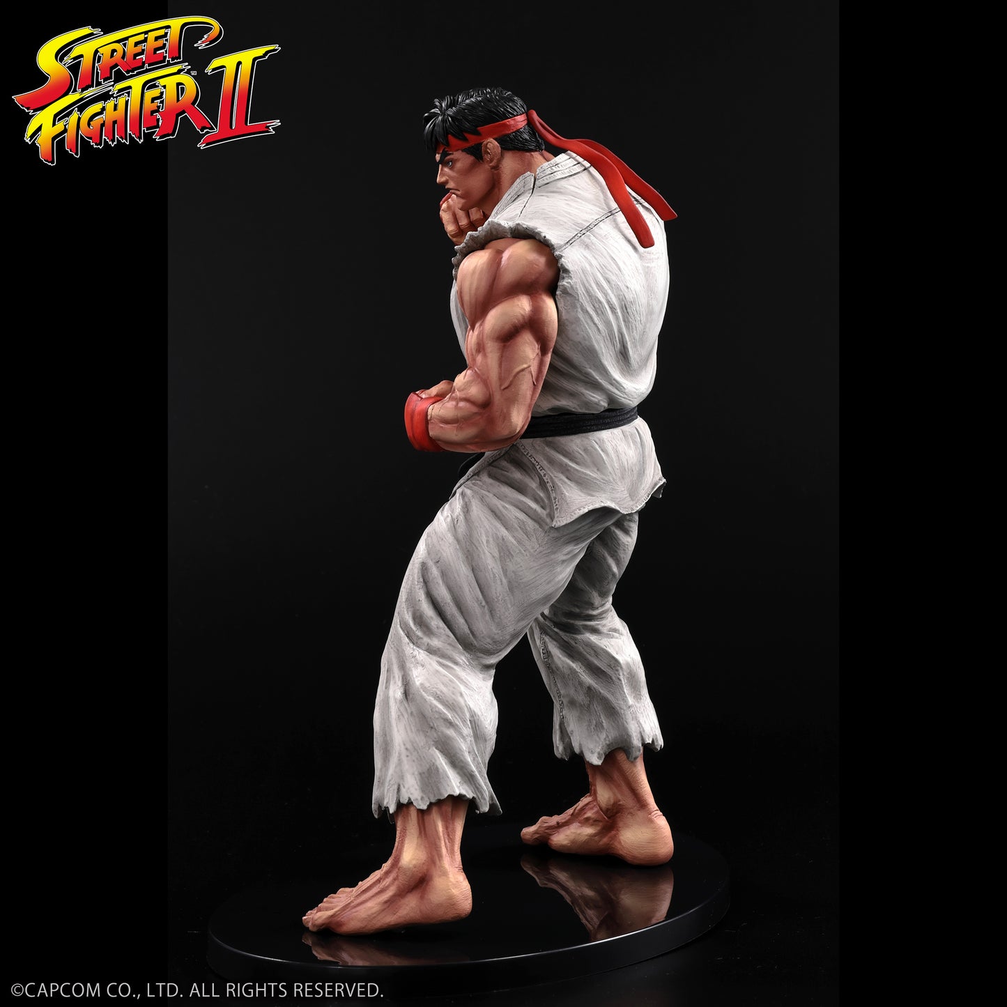 THE KING OF COLLECTORS'24 No.9 リュウ(通常カラー)【予約商品】